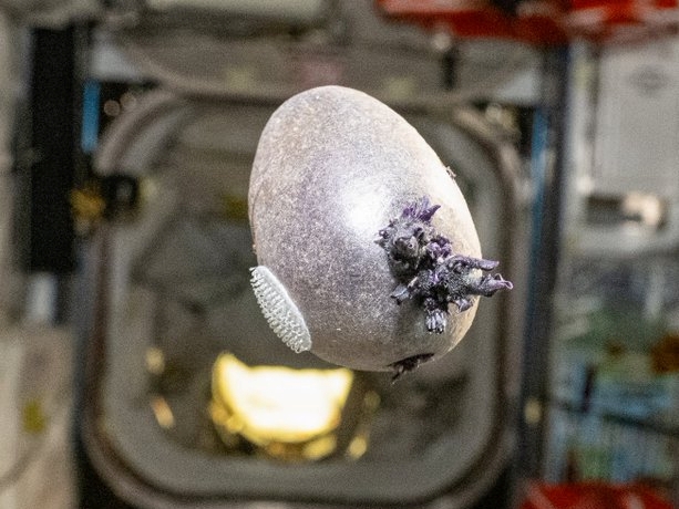 Neobičan prizor iz svemira: Misteriozni "vanzemaljac" zbunio javnost