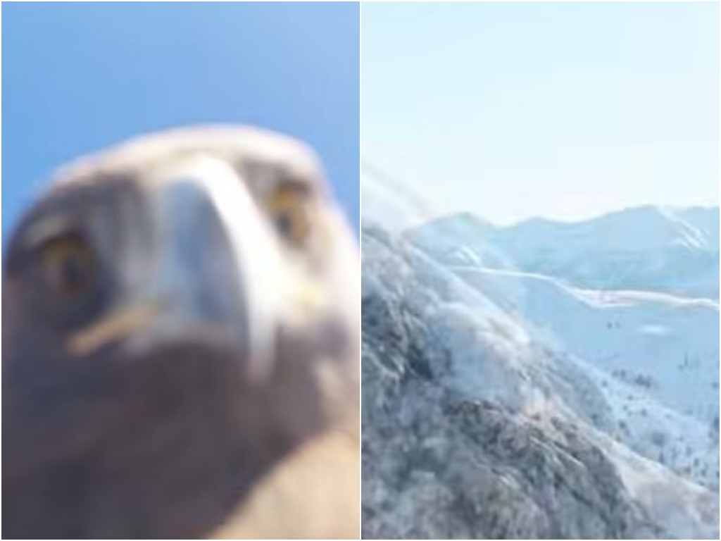 Neobičan susret prirode i tehnologije: Orao u letu oteo dron u Turskoj