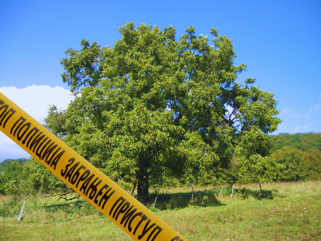 Nevesinjac pretukao suprugu pa se pokušao objesiti na orah, policija ga spasila