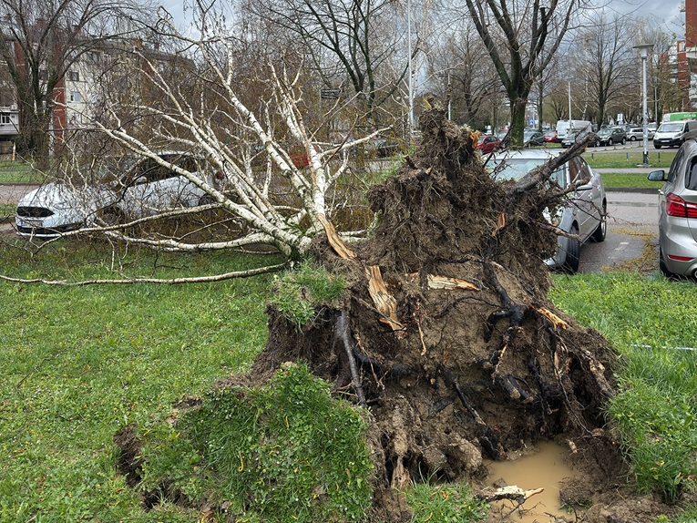 Nevrijeme u Zagrebu: Vatrogasci odradili 845 intervencija