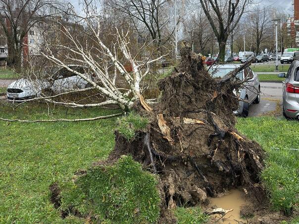 Nevrijeme u Zagrebu: Vatrogasci odradili 845 intervencija