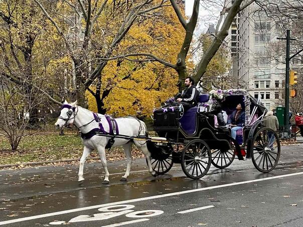 New York City ukida konjske kočije nakon 160 godina