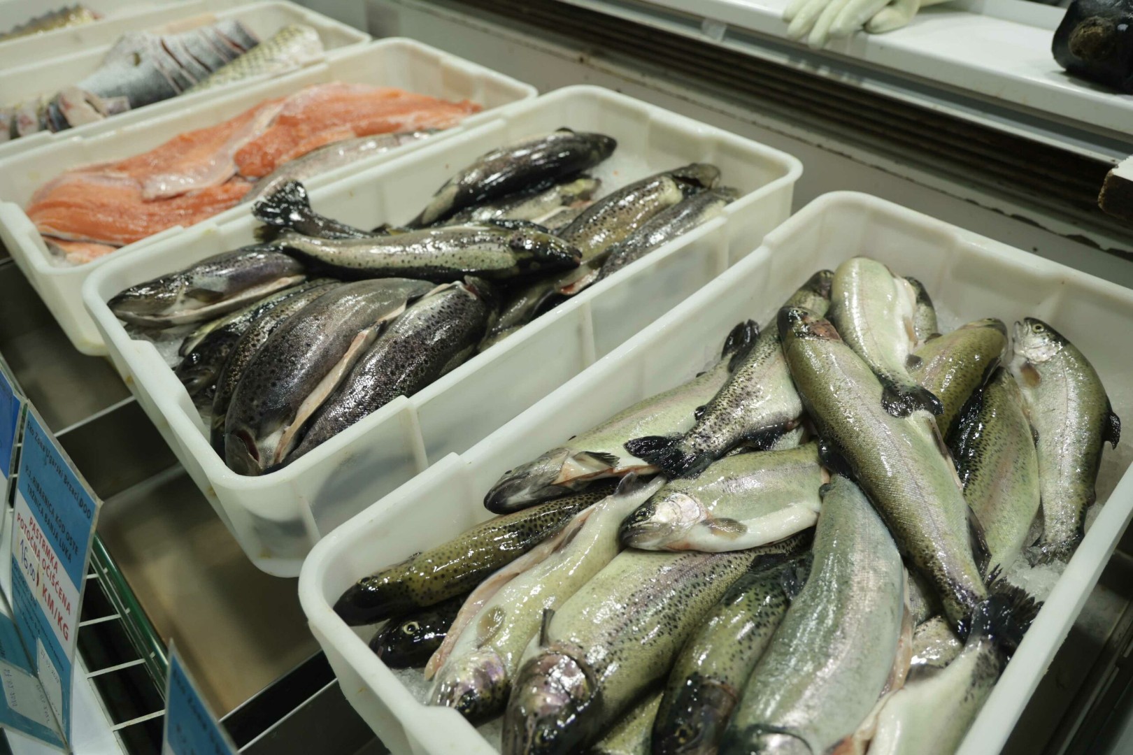 Nisu sve ribe zdrave: Stručnjaci otkrivaju koje vrste treba izbjegavati