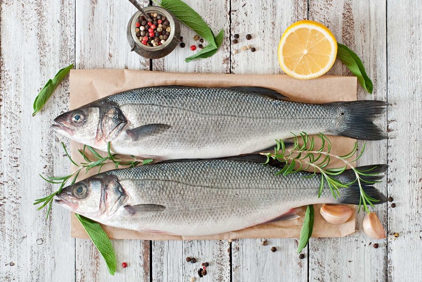 Nisu sve ribe zdrave: Stručnjaci otkrivaju koje vrste treba izbjegavati