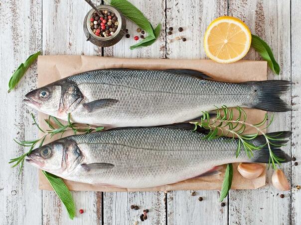 Nisu sve ribe zdrave: Stručnjaci otkrivaju koje vrste treba izbjegavati