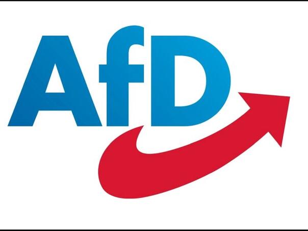 Njemački AfD najavljuje radikalne promjene ako dođu na vlast