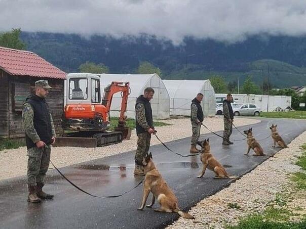 Norveška narodna pomoć donirala nove deminerske pse za MO BiH