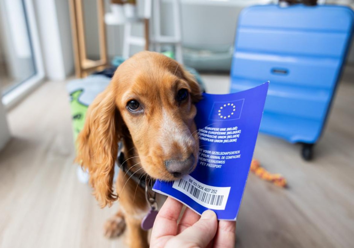 Nova pravila za kućne ljubimce koji putuju u EU
