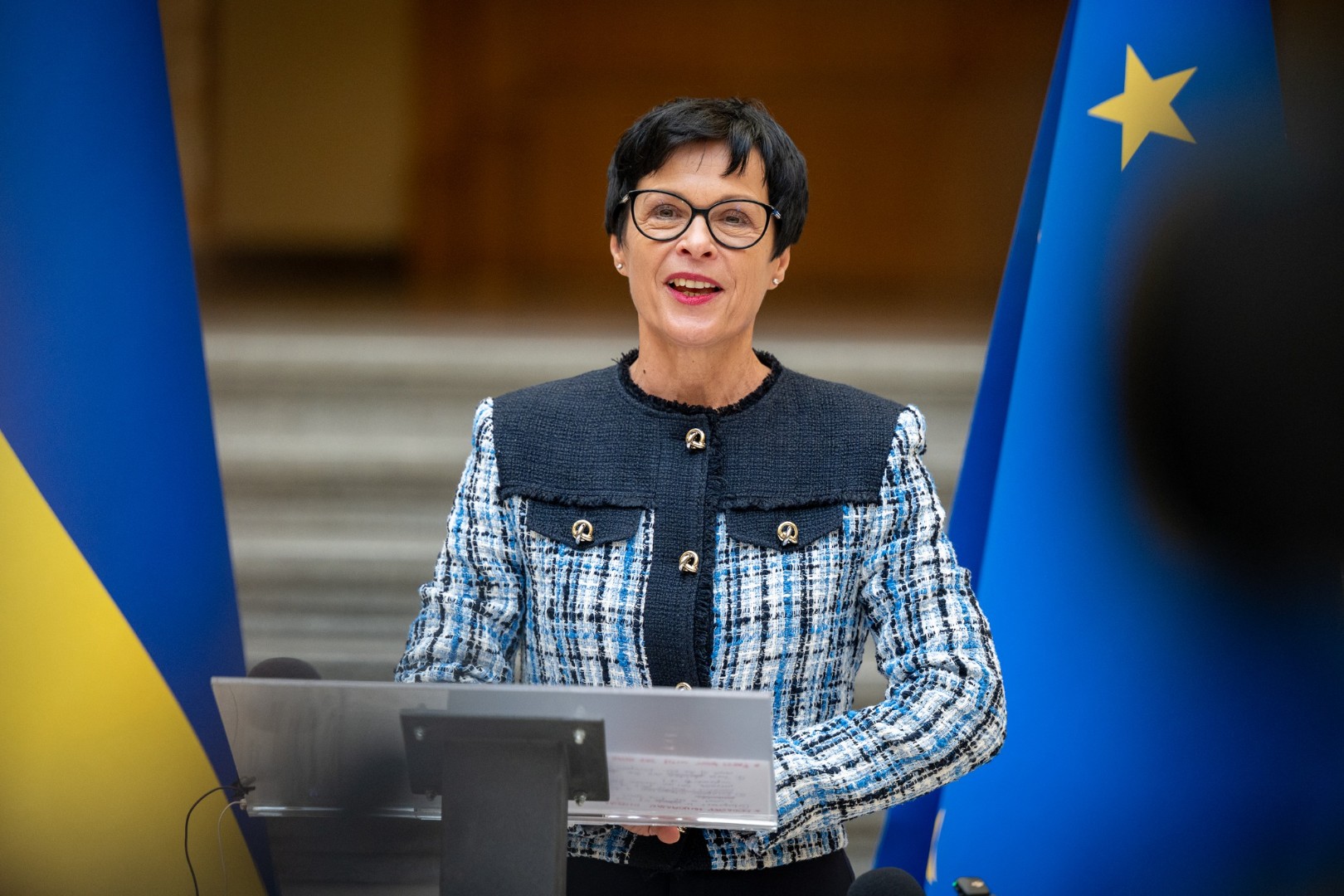 Nove članice EU mogle bi se pridružiti bez punog prava glasa