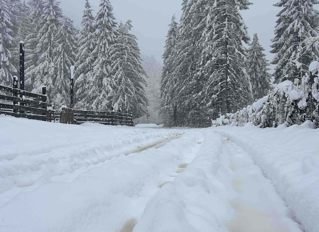 Obilne padavine u Kotor Varoši, probleme otežavaju i neprohodne ceste