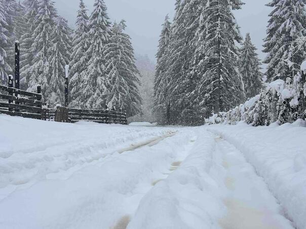 Obilne padavine u Kotor Varoši, probleme otežavaju i neprohodne ceste