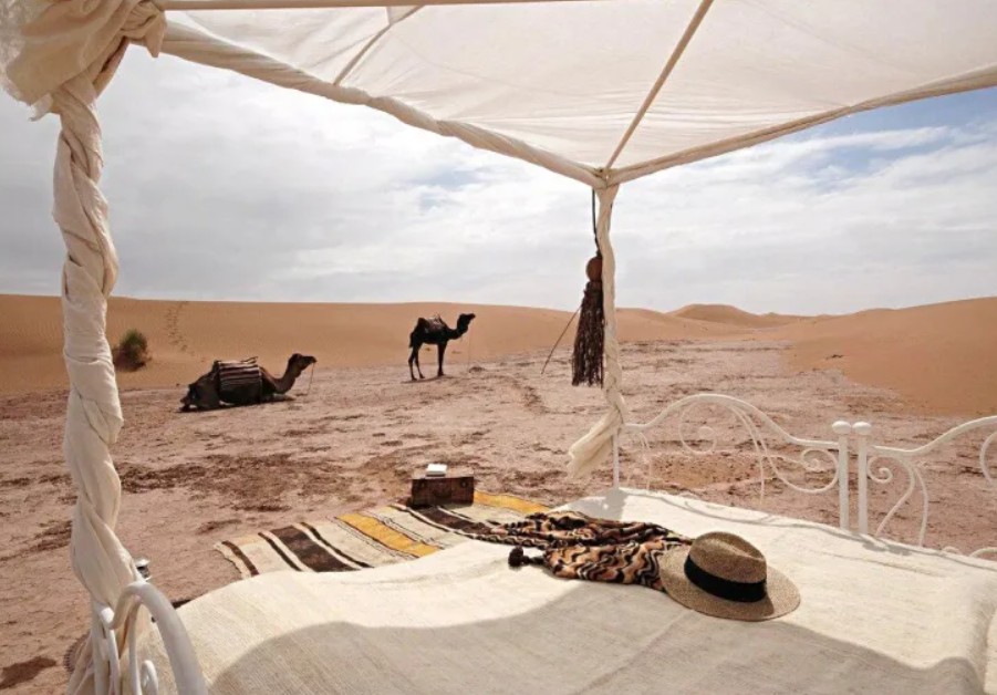 Od glampinga do beduinskih kampova: Novi trend pustinjskog turizma