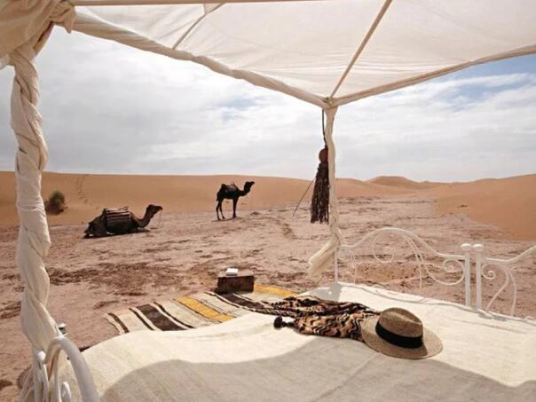 Od glampinga do beduinskih kampova: Novi trend pustinjskog turizma