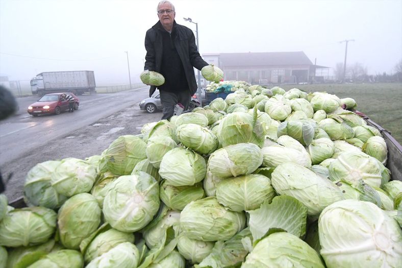 Ogorčeni poljoprivrednik podijelio 10 tona kupusa: "Plače mi se od muke!"