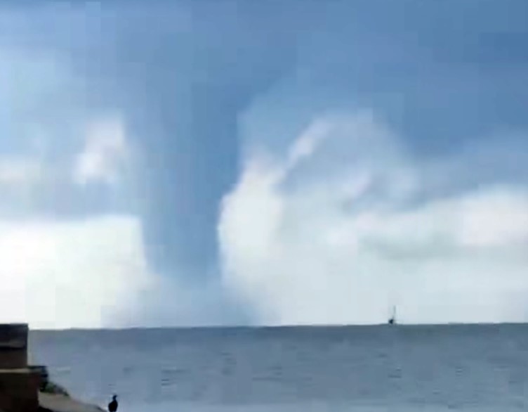 Ogromna pijavica kod Rovinja: "Kakva mrcina!"