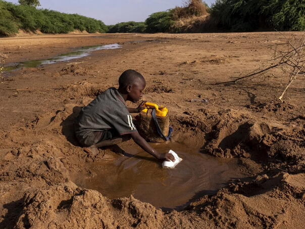 Oko 6,5 miliona ljudi u Somaliji suočeno s akutnom glađu zbog suše