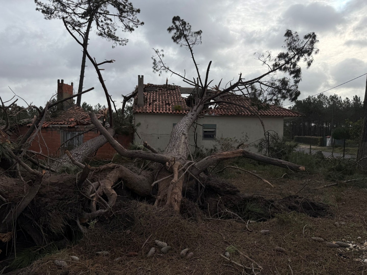 Oluja Kristin odnijela najmanje tri života u Portugalu