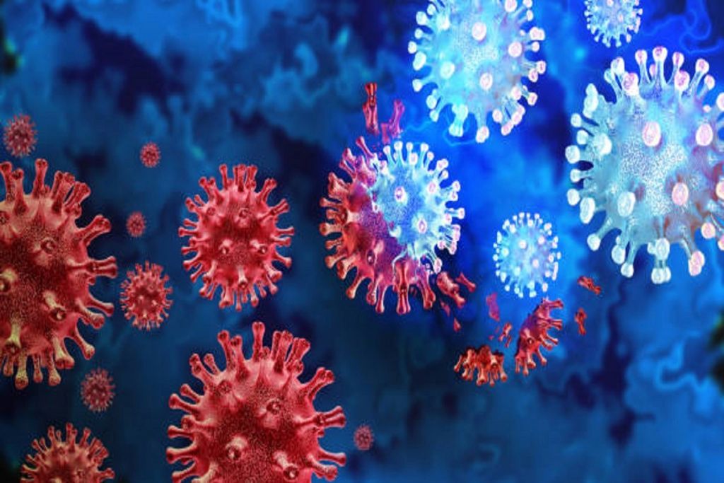 Opasni virus hara u regionu: Pet smrtnih slučajeva