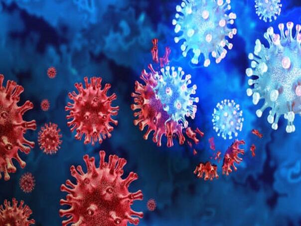 Opasni virus hara u regionu: Pet smrtnih slučajeva