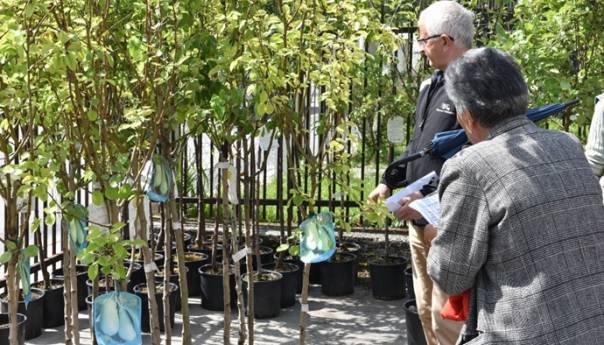 Općina Centar nabavila i podijelila 540 sadnica voća svojim sugrađanima
