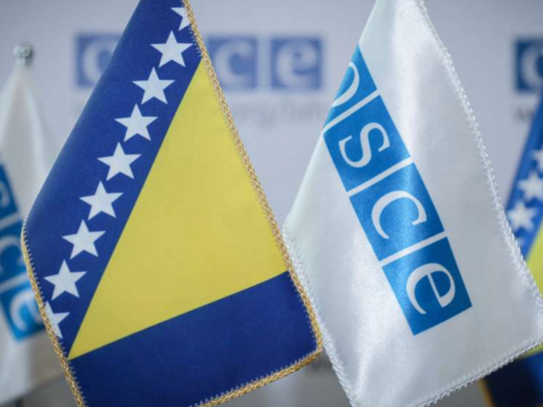 OSCE nakon prijetnji smrću Jeleni Trivić poziva nadležne na hitnu reakciju