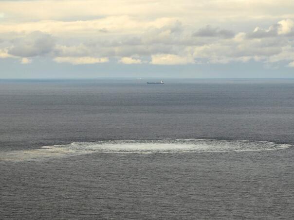 Osumnjičeni organizator eksplozija na plinovodu Sjeverni tok izručen iz Italije Njemačkoj