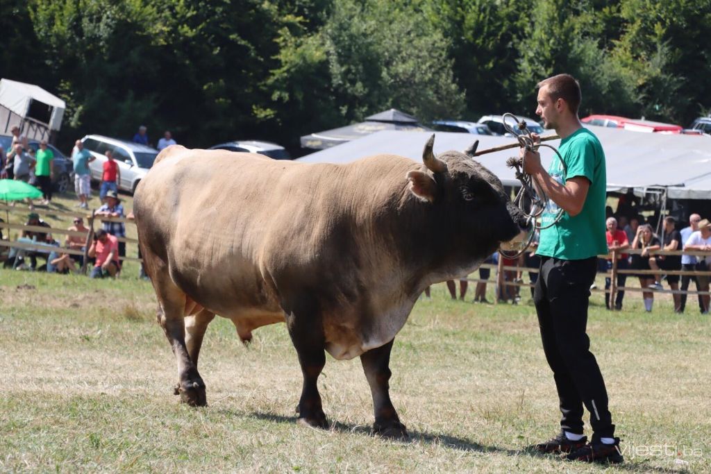 Otkazana Čevljanska korida, stiže zamjena: Spremne Olovske Luke