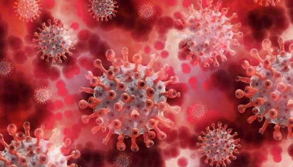 Otkriće američkih naučnika: Koronavirus mijenja funkciju stanica gušterače
