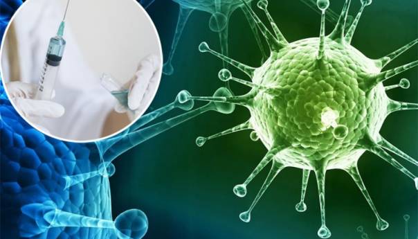 Otkrivena Ahilova peta svih virusa