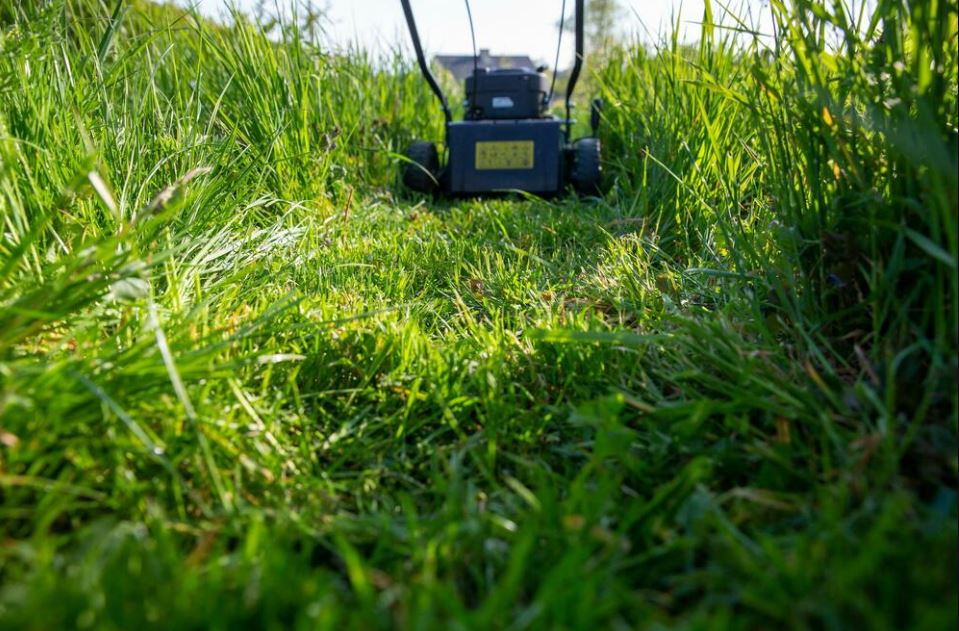 Ovako uništavate travu bez da znate