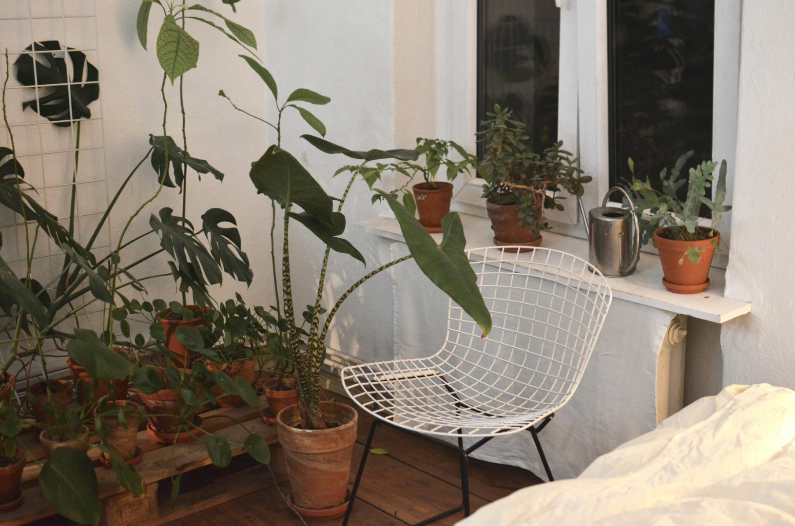 Ovo je najgore vrijeme za presađivanje sobnih biljaka – greška koju mnogi prave