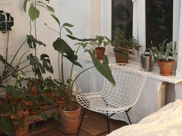 Ovo je najgore vrijeme za presađivanje sobnih biljaka – greška koju mnogi prave