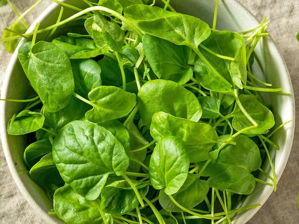 Ovo je najzdravije povrće na svijetu