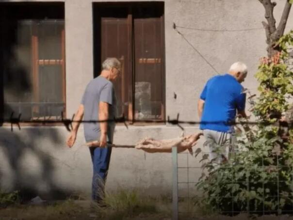 Pekao prase u Botaničkom vrtu Zemaljskog muzeja, stigla mu novčana kazna