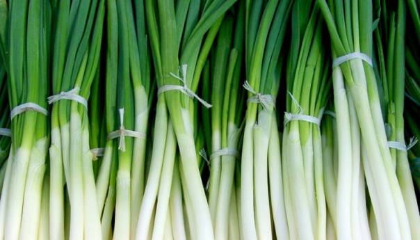 Pet razloga zašto je mladi luk dobro jesti svaki dan
