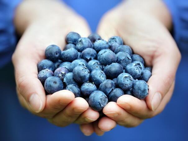 Pet zdravih namirnica koje smanjuju rizik od raka