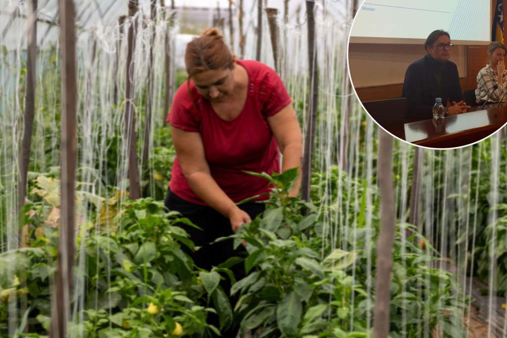 Pijunoviċ: FAO podržava BiH na putu pristupa resursima za ublažavanja posljedica klimatskih promjena