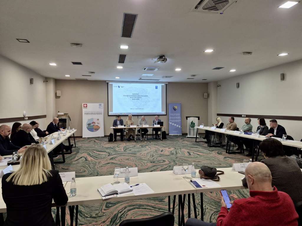 Počela izrada strategije za smanjenje rizika od katastrofa u BiH