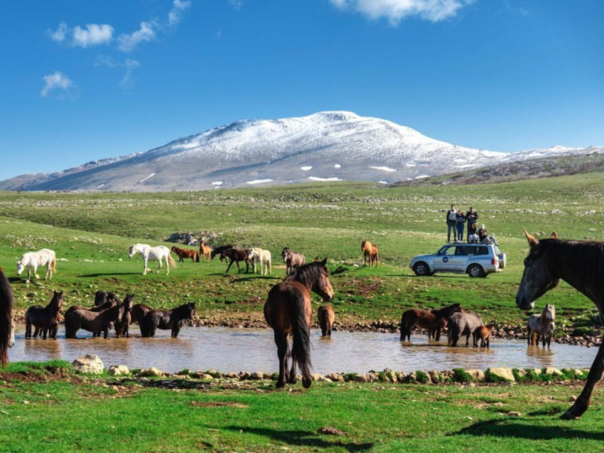 Počinje izrada studije za proglašenje Krug planine zaštićenim područjem