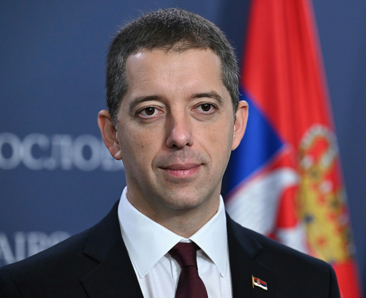 Opstruisali izbore u dijaspori: Krivčne protiv Đurića i deset ambasadora