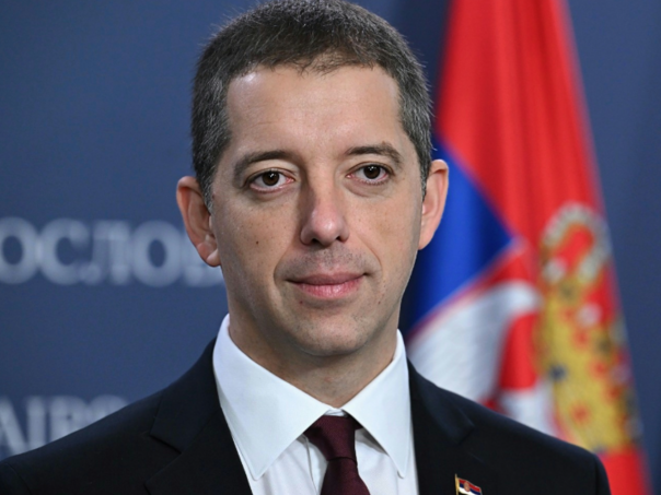 Opstruisali izbore u dijaspori: Krivične protiv Đurića i deset ambasadora