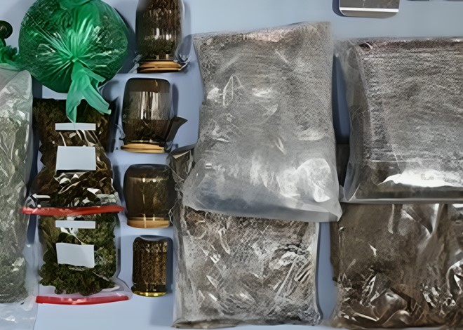 Policija u Dalmaciji oduzela skoro 11 kila marihuane