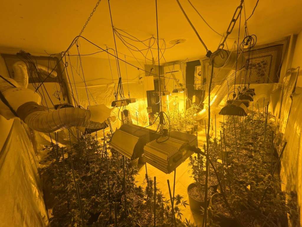 Policija u Sarajevu pronašla laboratorije za uzgoj marihuane