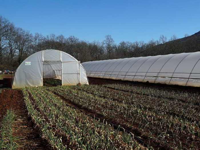 Poljoprivrednici traže hitan razgovor s Vladom FBiH: Nezakonita pravila ugrožavaju proizvodnju