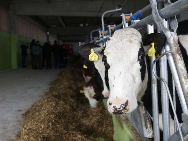 Poljoprivrednici u Srbiji bijesni zbog odluke ministra