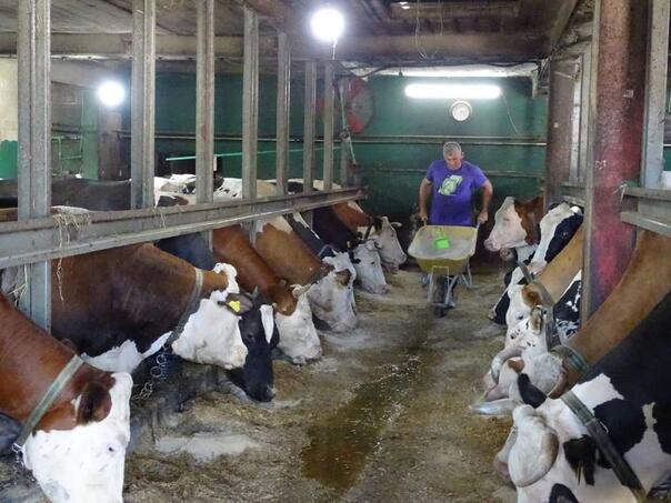 Poljoprivrednim proizvođačima i prerađivačima u FBiH isplaćeno 42,9 miliona KM