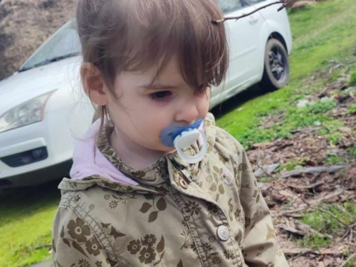 Ponovo podignuta optužnica za ubistvo Danke Ilić