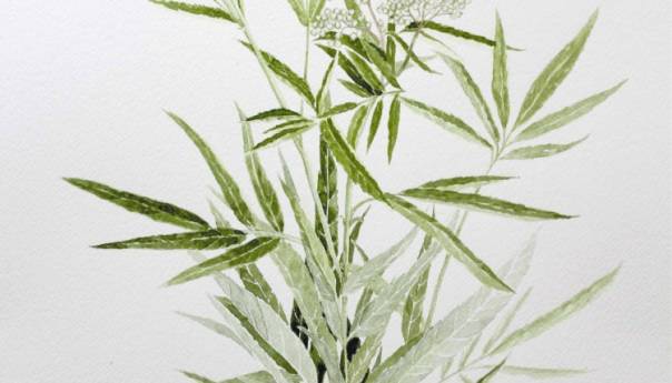 Posavski umjetnički likovni simpozij u decembru