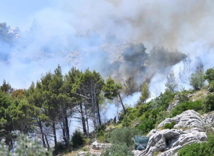 Požar iznad Makarske pod kontrolom, uzrok se istražuje