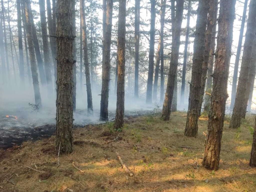 Požar kod Drvara pod kontrolom, otkazan angažman helikoptera